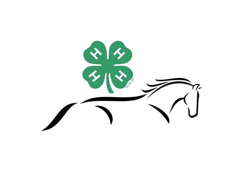 Fair Logo